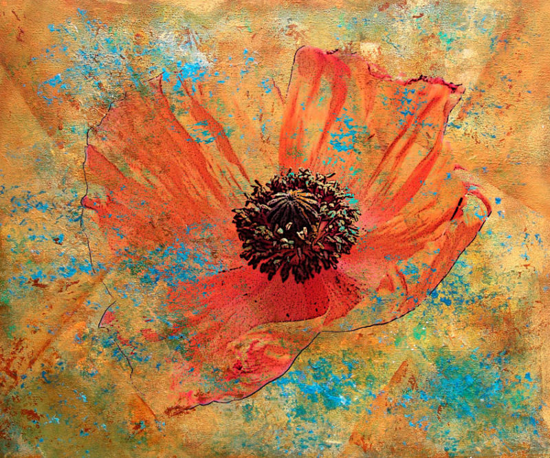 Poppy Wall Art Print, Orange Flower, Colorful Home Decor Art - Mixed Media, in Floral and Flower 